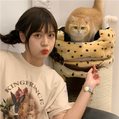 昆明伴游女生星晓莉的资料